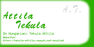attila tekula business card